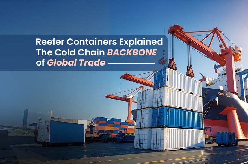 Reefer Containers Explained: The Cold Chain Backbone of Global Trade
